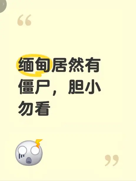 《缅甸僵尸出土事件》高清无删减免费播放 - 全程录像揭秘缅北真相 - 最新完整版在线观看