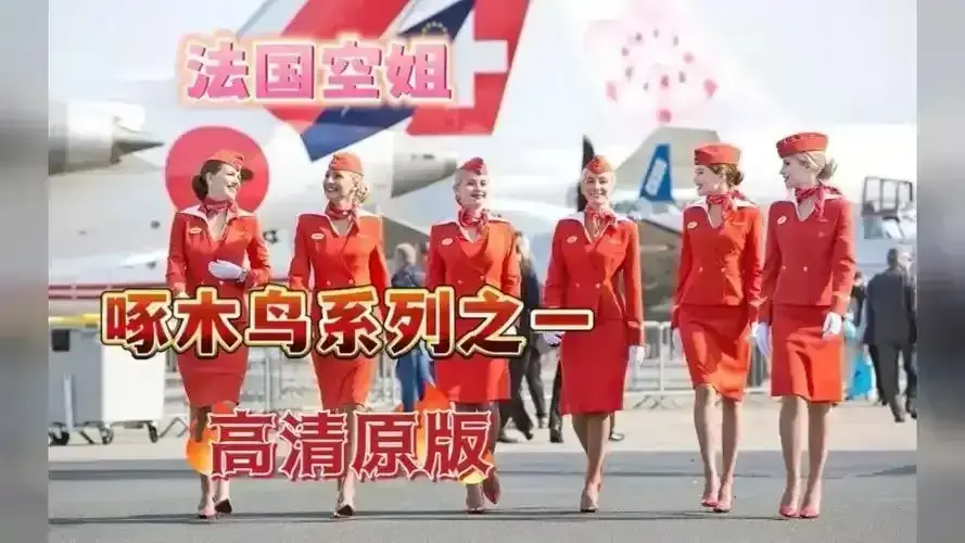 《法国空姐》相关资源图片