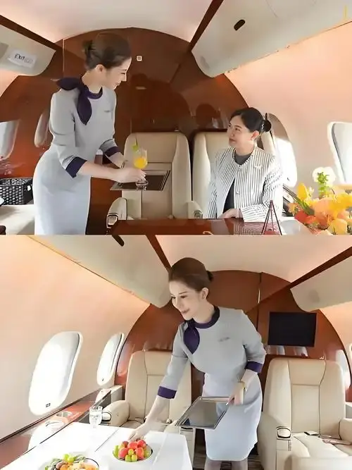 《私人航空/法国航空》未删减版HD高清在线观看-私人航空/法国航空完整版免费播放-无弹窗全集