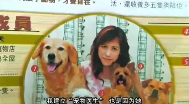 《女人与狗》免费播放中字全集-女人与狗正片未删减版高清画质-1080P超清流畅观影-网盘资源下载无广告