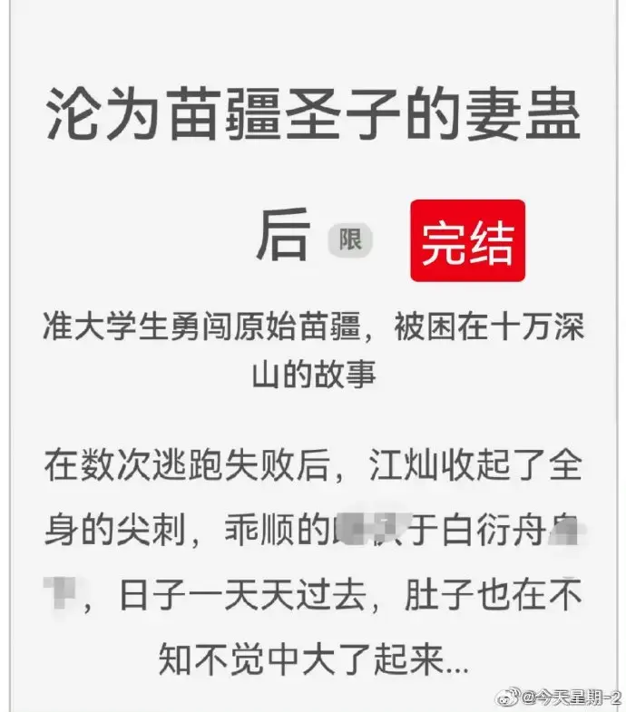 《沦为苗疆圣子的妻蛊后》狐狸雨小说免费阅读txt-全集无删减完整版在线看-全网资源分享收藏