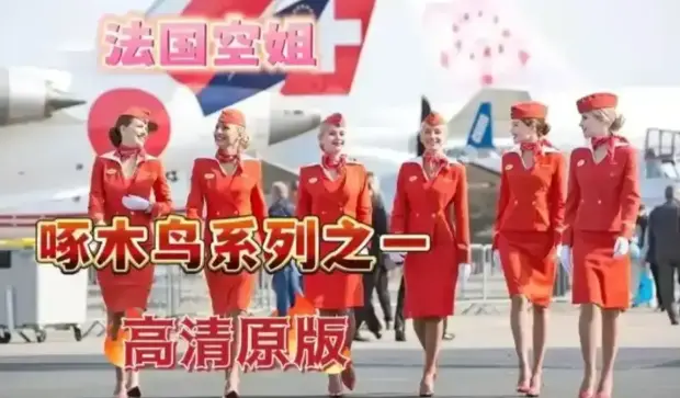 《法国空姐3》相关资源图片