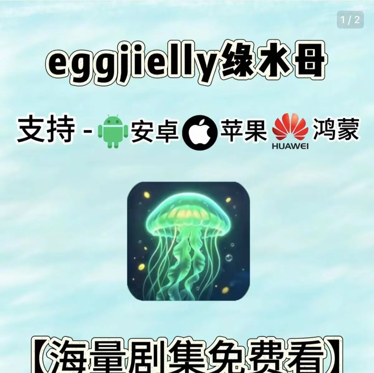 《eggjielly绿水母》相关资源图片