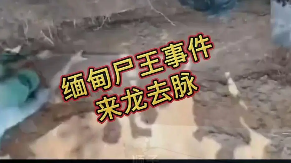 缅甸僵尸出土事件视频-在线观看免费播放高清完整版-缅北僵尸出土事件始末原视频资源下载-超清未删减全程录像